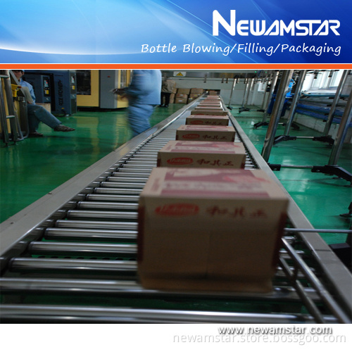 Case Conveyor